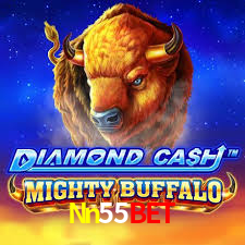 Nn55Bet